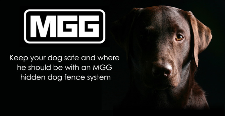 Screenshot_2020-08-10 Dog Training Collars, Bark Stop Collars Dog Fencing Systems(2)