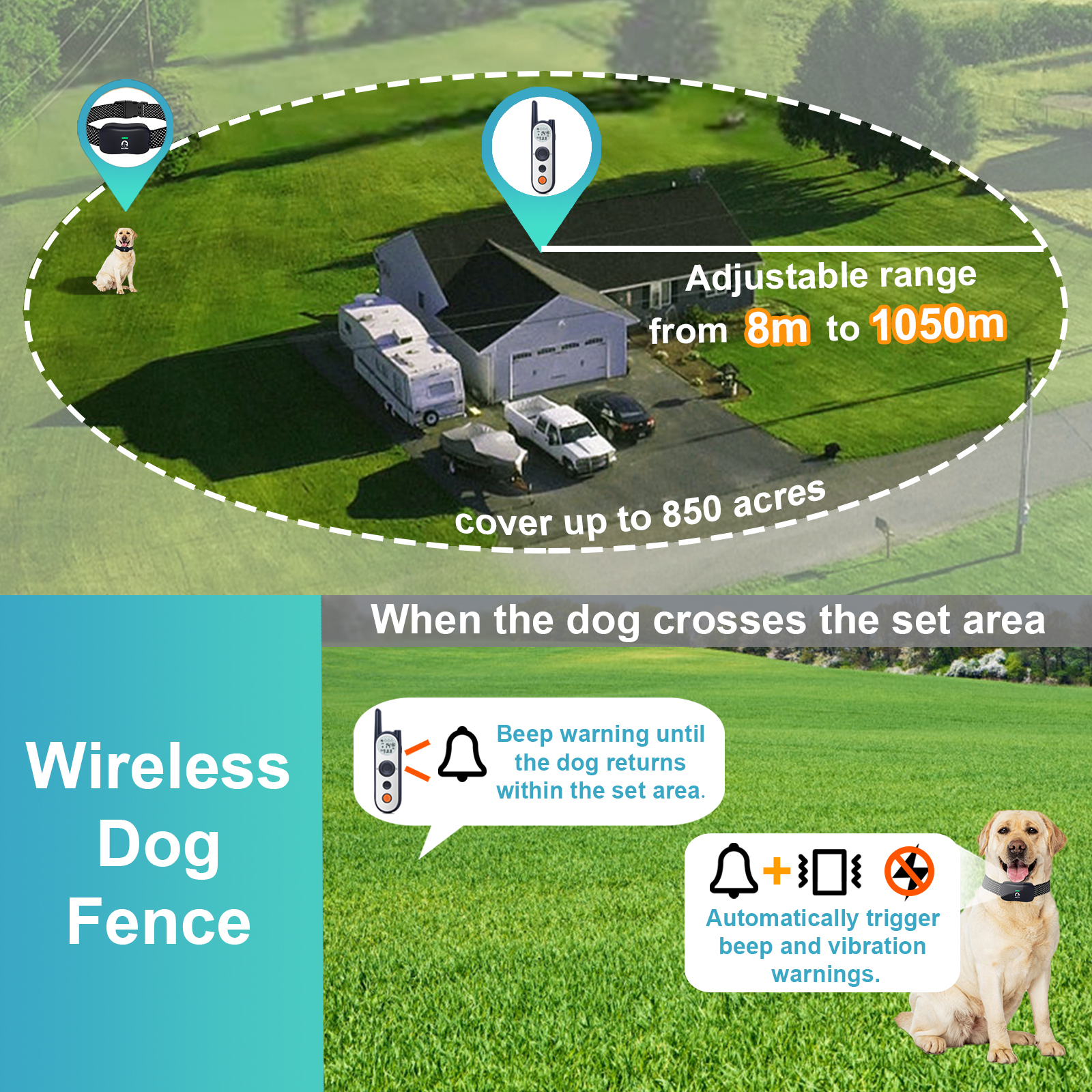 https://www.mggproducts.co.nz/dog-equipment